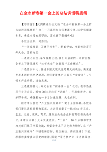 在全市新春第一会上的总结讲话稿提纲