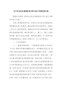 关于社会民生领域改革专项小组工作情况的汇报