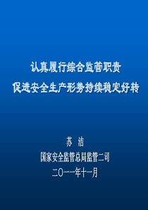 认真履行安全生产监管职责促进安全生产形势持续稳定好转