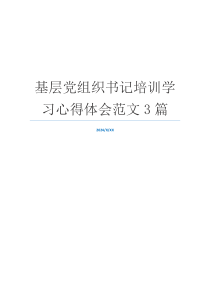 基层党组织书记培训学习心得体会范文3篇