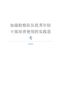 加强检察队伍优秀年轻干部培养使用的实践思考