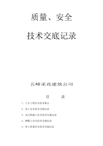 质量、安全技术交底