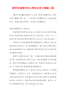 教师实践教学的心得体会范文精编5篇