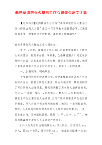 森林草原防灭火整治工作心得体会范文3篇