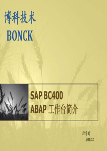 SAPBC400ABAP工作台简介