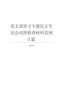 党支部班子专题民主生活会对照检查材料范例3篇