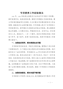 财政局在专项债工作会议上的汇报发言