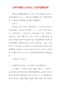 在审计整改工作会议上的讲话稿范例