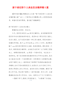 新干部任职个人表态发言稿样稿5篇