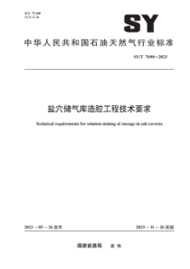 SYT 7690-2023 盐穴储气库造腔工程技术要求