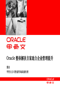 Oracle甲骨文企业整体解决方案