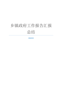 乡镇政府工作报告汇报总结