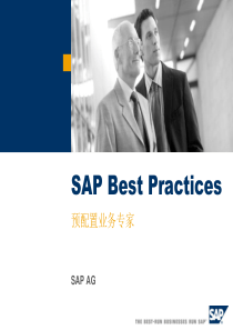 SAPBestPractices预配置业务专家