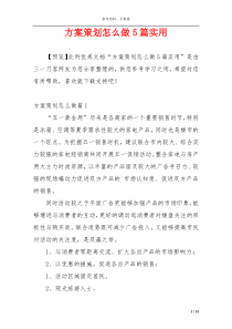 方案策划怎么做5篇实用