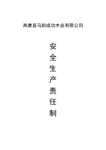 高唐县众发木业有限公司安全生产责任制1