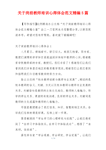 关于岗前教师培训心得体会范文精编5篇