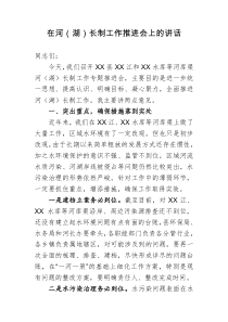 在河（湖）长制工作推进会上的讲话