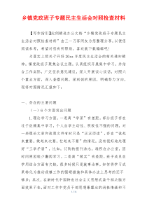 乡镇党政班子专题民主生活会对照检查材料