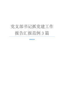 党支部书记抓党建工作报告汇报范例3篇