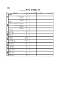 燃气公司年度目标表样