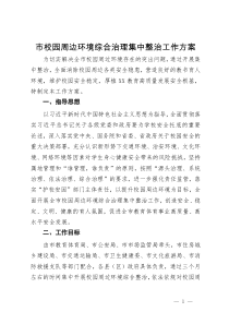 市校园周边环境综合治理集中整治工作方案