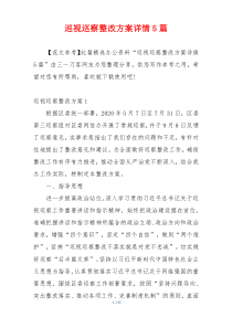 巡视巡察整改方案详情5篇