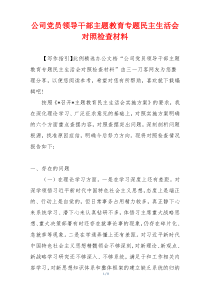 公司党员领导干部主题教育专题民主生活会对照检查材料