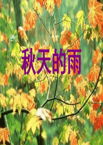 《秋天的雨》PPT课件