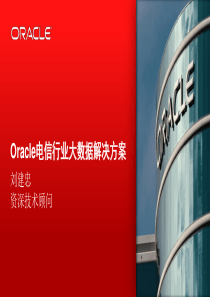 Oracle电信行业大数据解决方案