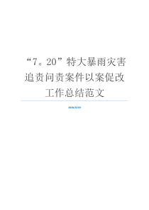 “7。20”特大暴雨灾害追责问责案件以案促改工作总结范文