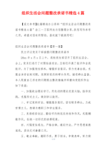 组织生活会问题整改承诺书精选4篇