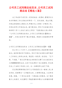 公司员工试用期总结发言_公司员工试用期总结【精选4篇】