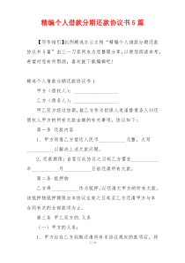 精编个人借款分期还款协议书5篇