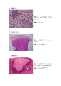 病理切片整理