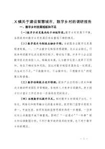 X镇关于建设智慧城市、数字乡村的调研报告