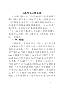 纪委监委党风政风监督室副主任挂职锻炼工作总结