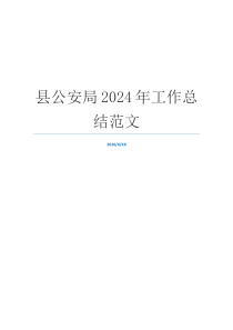 县公安局2024年工作总结范文