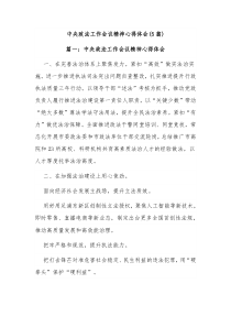 5篇中央政法工作会议精神心得体会