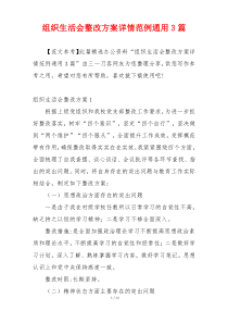 组织生活会整改方案详情范例通用3篇