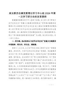 政法委员在镇党委理论学习中心组2024年第一次学习研讨会的发言提纲