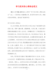 学习武术的心得体会范文