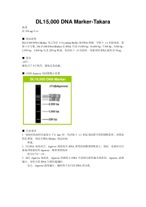 DL15-000-DNA-Marker-takara