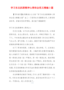 学习东北抗联精神心得体会范文精编3篇