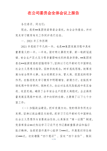 在公司委员会全体会议上报告