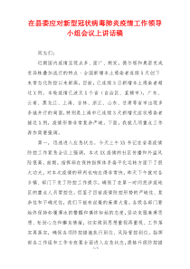 在县委应对新型冠状病毒肺炎疫情工作领导小组会议上讲话稿