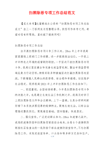 扫黑除恶专项工作总结范文