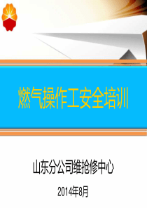 燃气操作工安全手册培训（PPT56页)