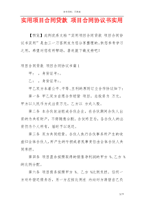 实用项目合同贷款 项目合同协议书实用