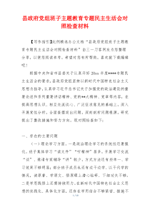 县政府党组班子主题教育专题民主生活会对照检查材料