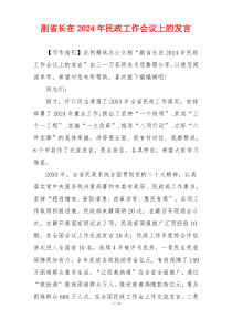 副省长在2024年民政工作会议上的发言